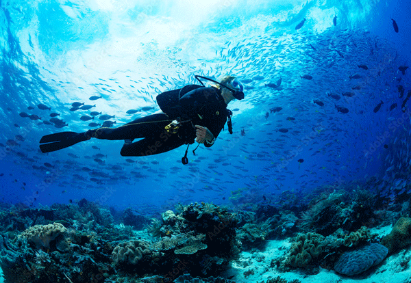 Diving and Snorkeling Zanzibar