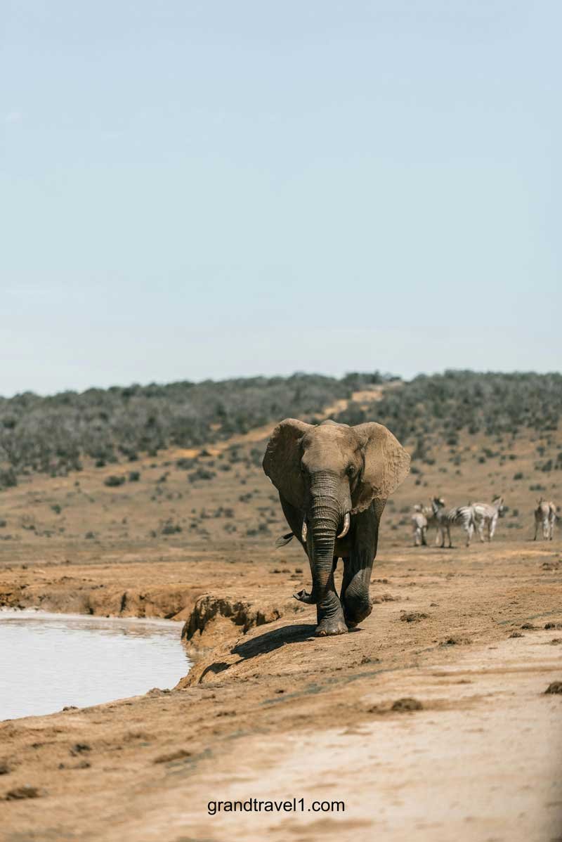 Zanzibar-Safari