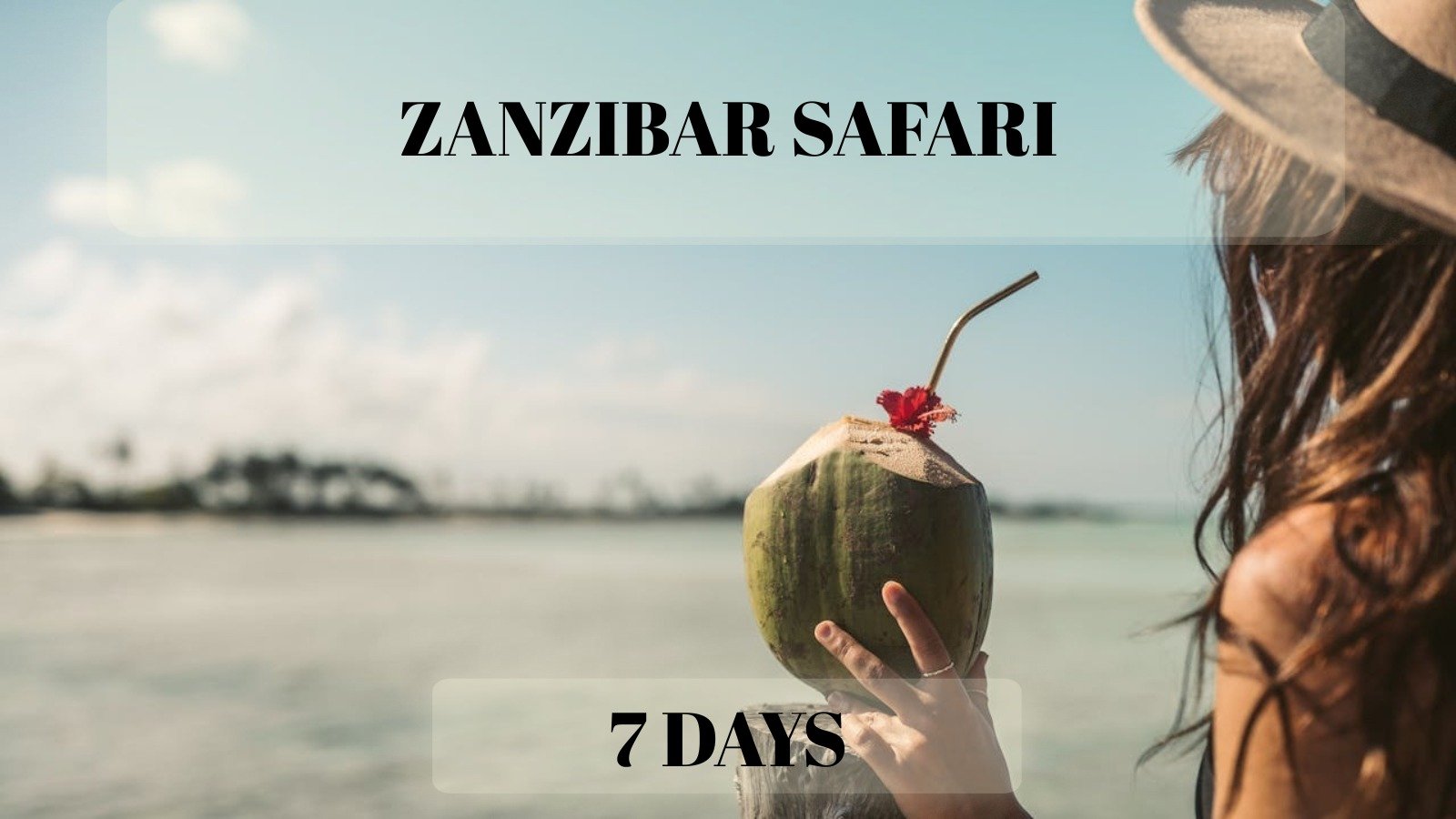 Zanzibar Safari