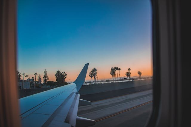 Fly back home