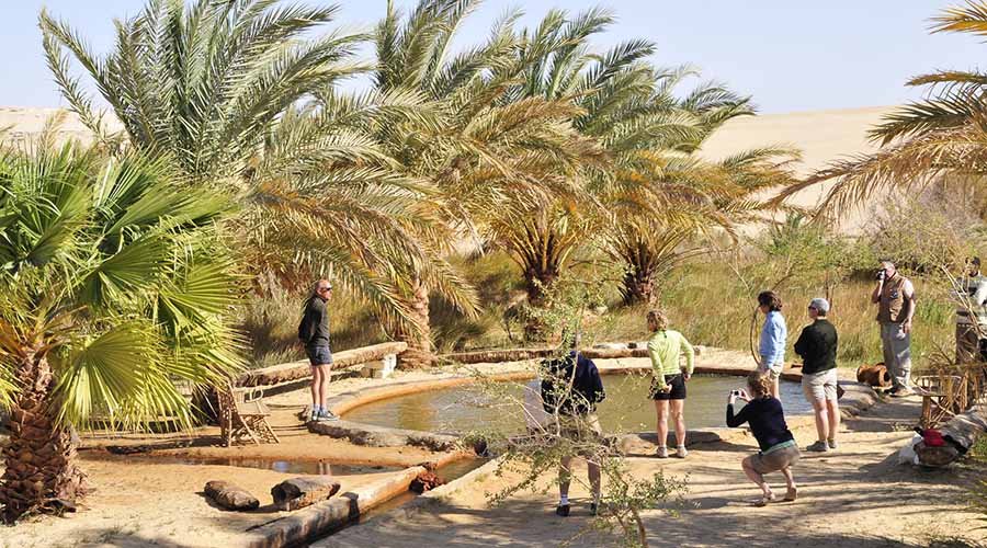 Shiata Lake – Bir Wahed and transfer to Cairo