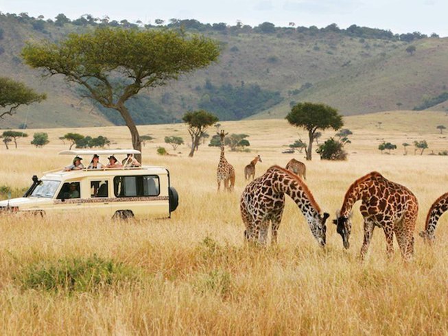 African Safari