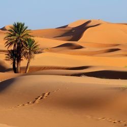 Dubai – Desert Safari