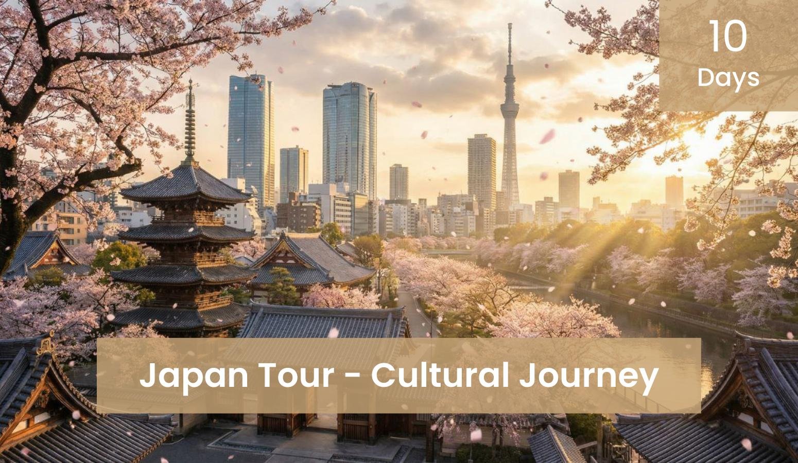 10-Day Japan Tour - Tokyo, Kyoto, and Osaka Cultural Journey