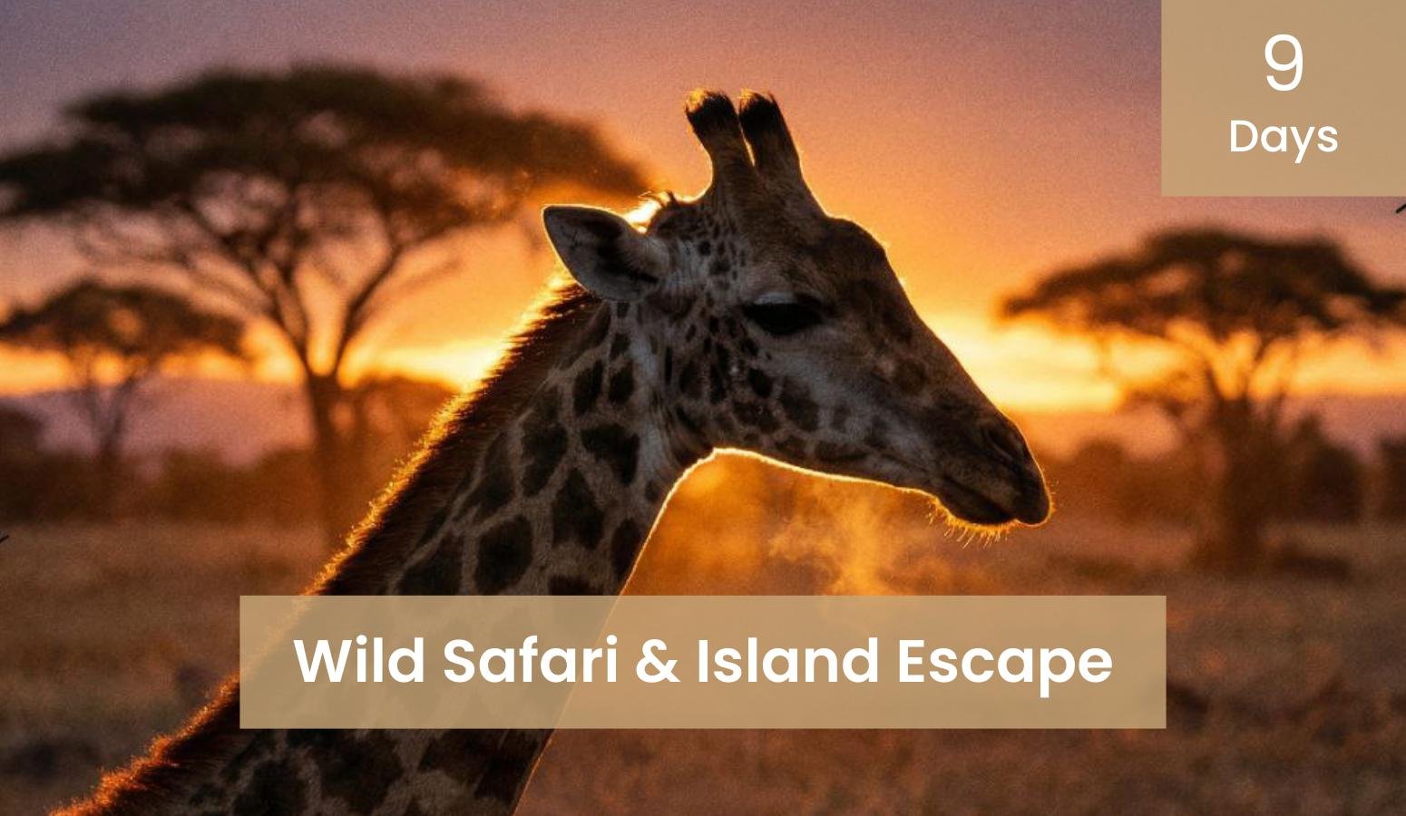 9-Day Wild Safari & Island Escape: Tnzania & Zanzibar