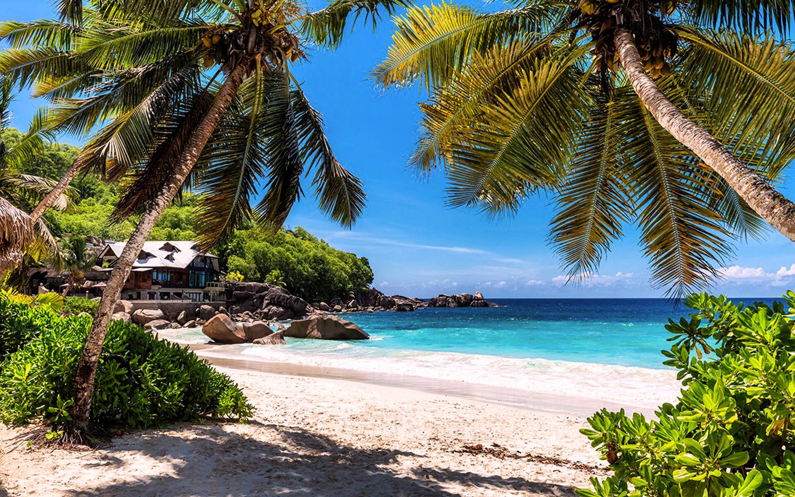 Tastes of Zanzibar, Sunsets in Nungwi: Your Perfect Island Escape Starts Here